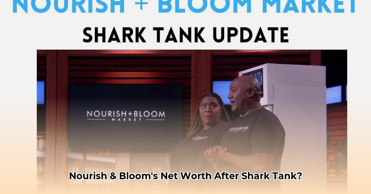 nourish-and-bloom-net-worth